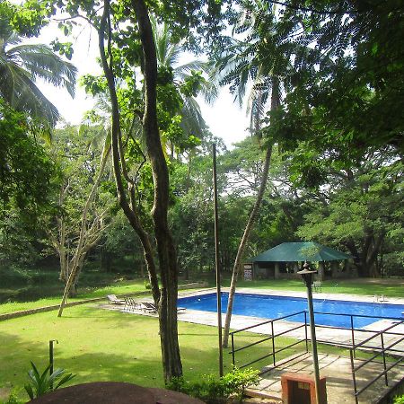 Dambulu Oya Family Park Hotell Dambulla Eksteriør bilde