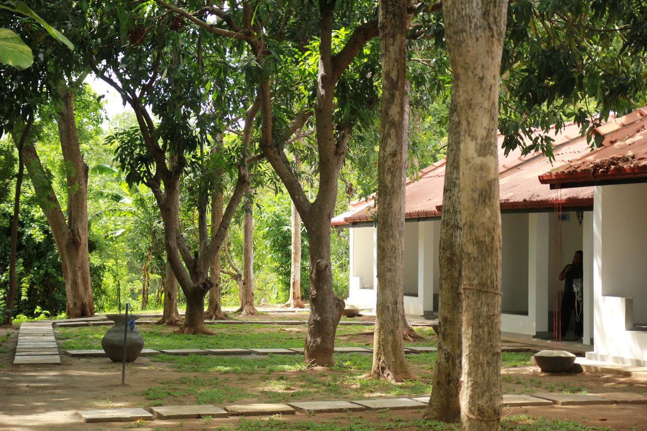 Dambulu Oya Family Park Hotell Dambulla Eksteriør bilde