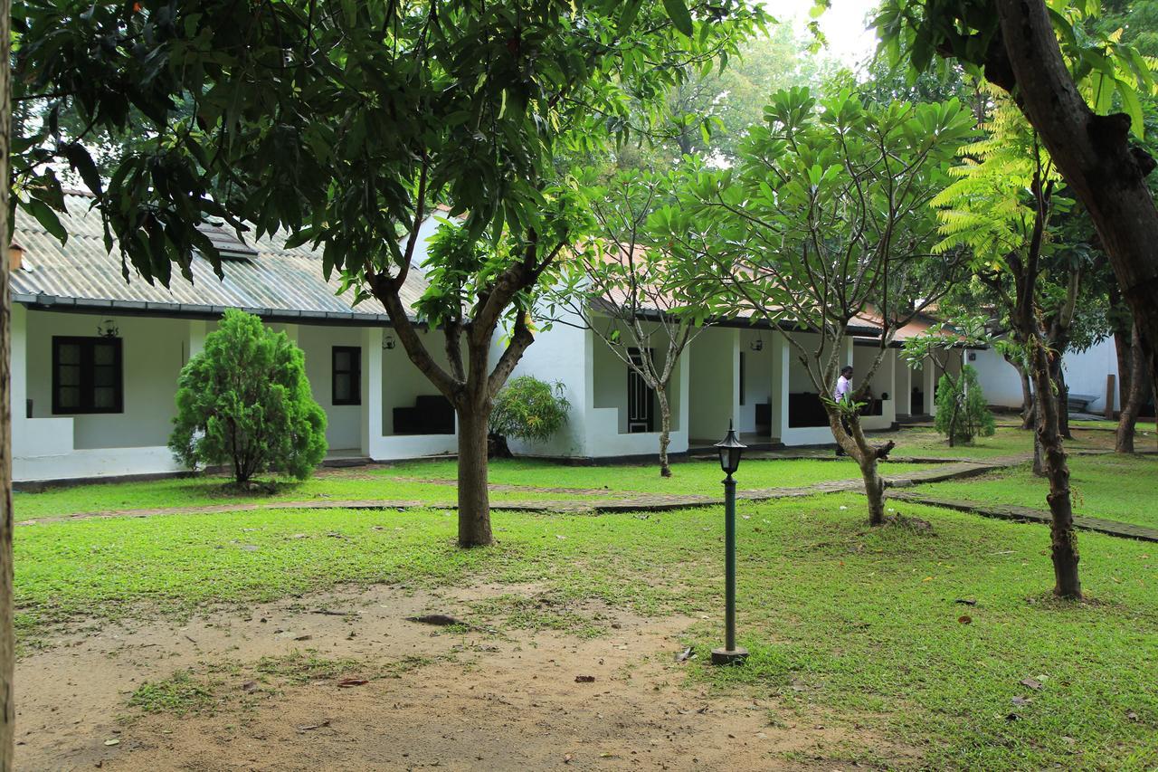 Dambulu Oya Family Park Hotell Dambulla Eksteriør bilde