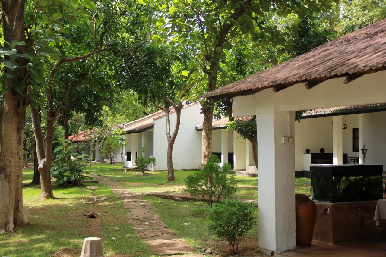 Dambulu Oya Family Park Hotell Dambulla Eksteriør bilde
