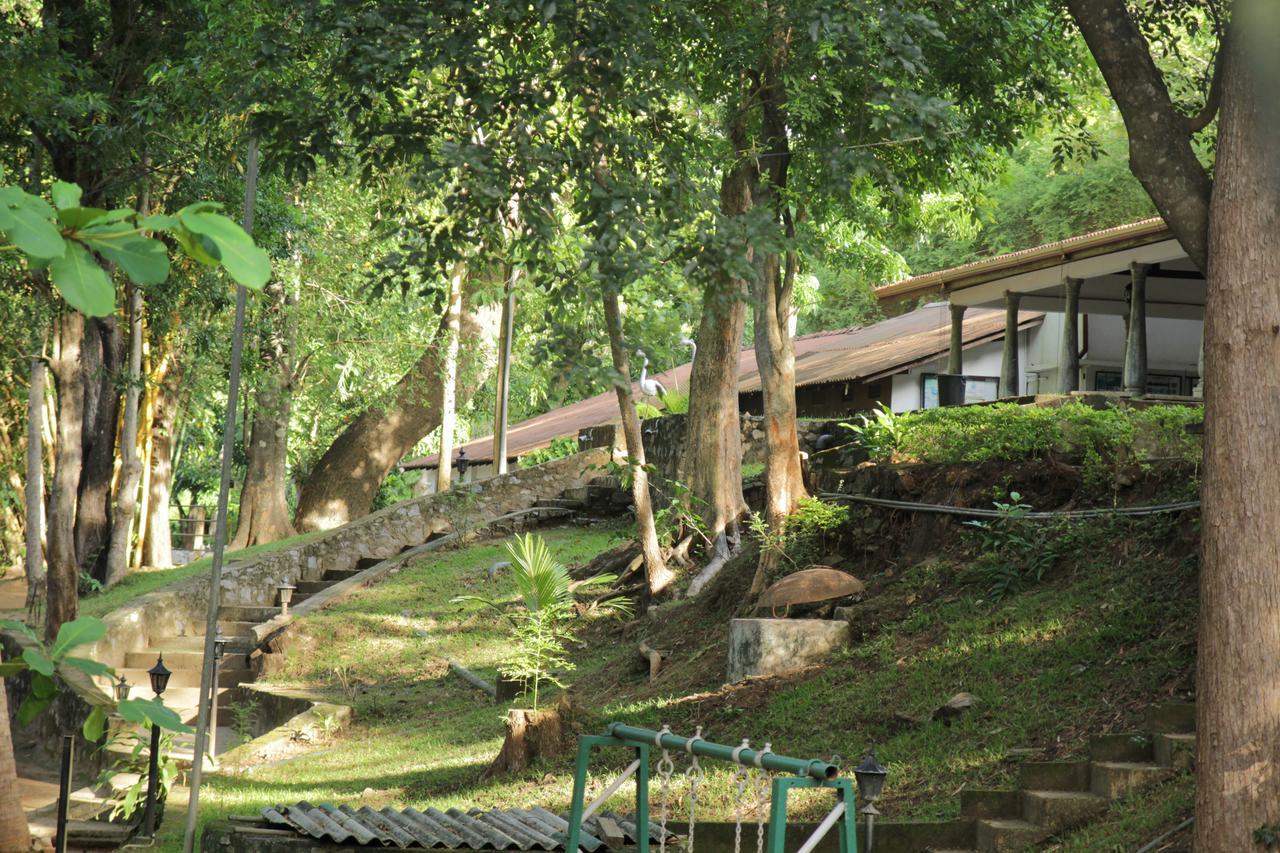 Dambulu Oya Family Park Hotell Dambulla Eksteriør bilde