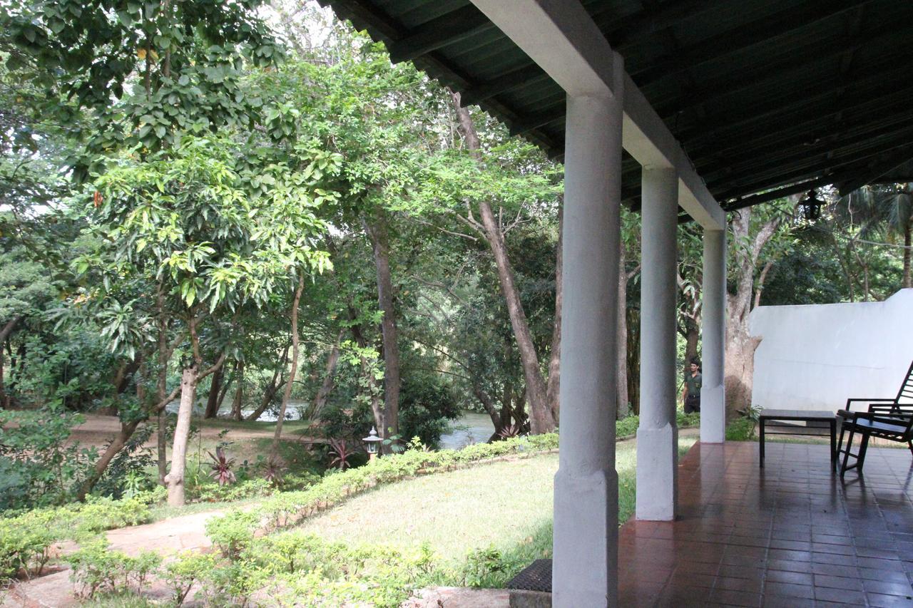 Dambulu Oya Family Park Hotell Dambulla Eksteriør bilde