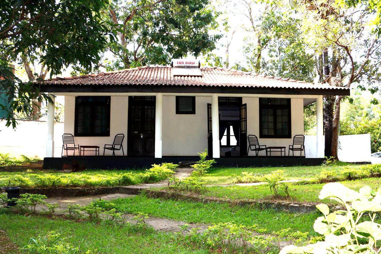 Dambulu Oya Family Park Hotell Dambulla Eksteriør bilde