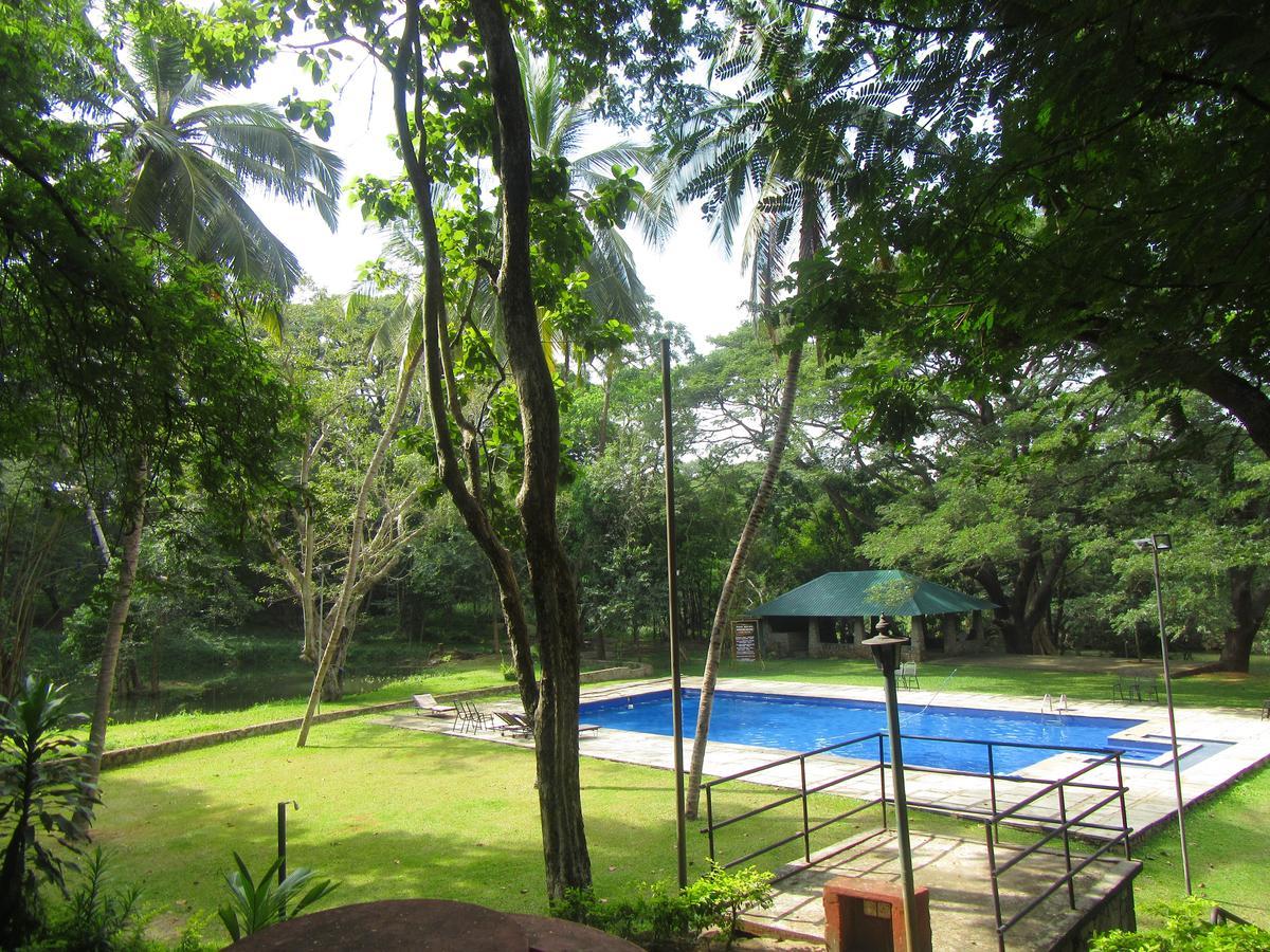 Dambulu Oya Family Park Hotell Dambulla Eksteriør bilde
