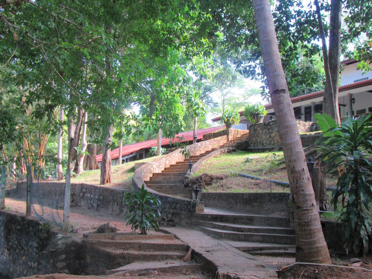 Dambulu Oya Family Park Hotell Dambulla Eksteriør bilde