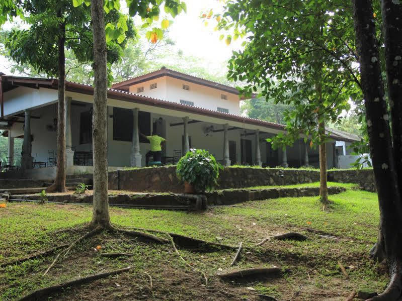 Dambulu Oya Family Park Hotell Dambulla Eksteriør bilde