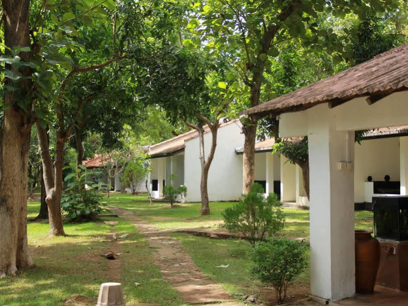 Dambulu Oya Family Park Hotell Dambulla Eksteriør bilde