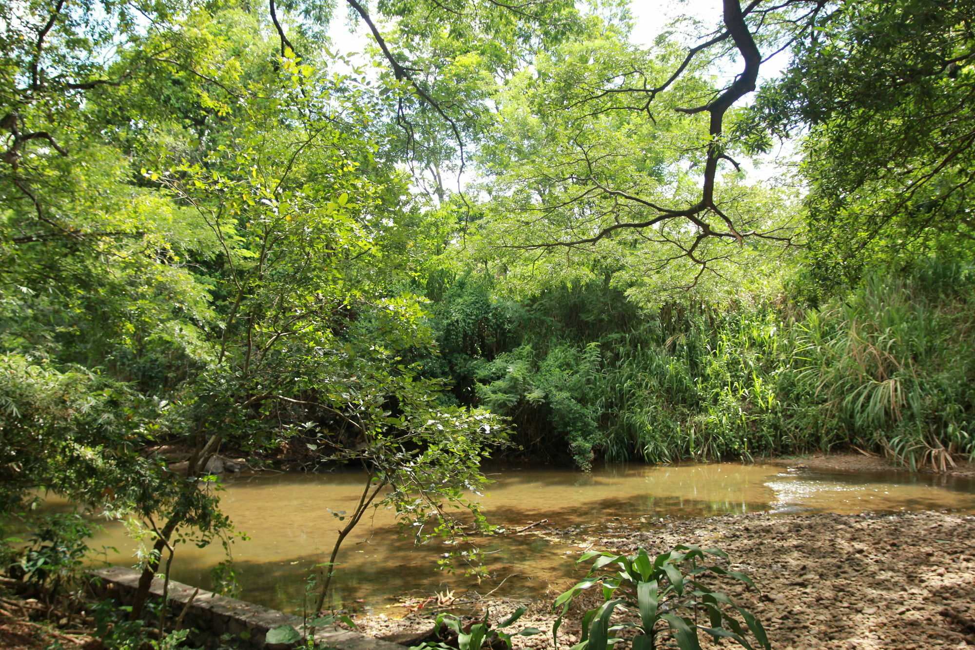 Dambulu Oya Family Park Hotell Dambulla Eksteriør bilde
