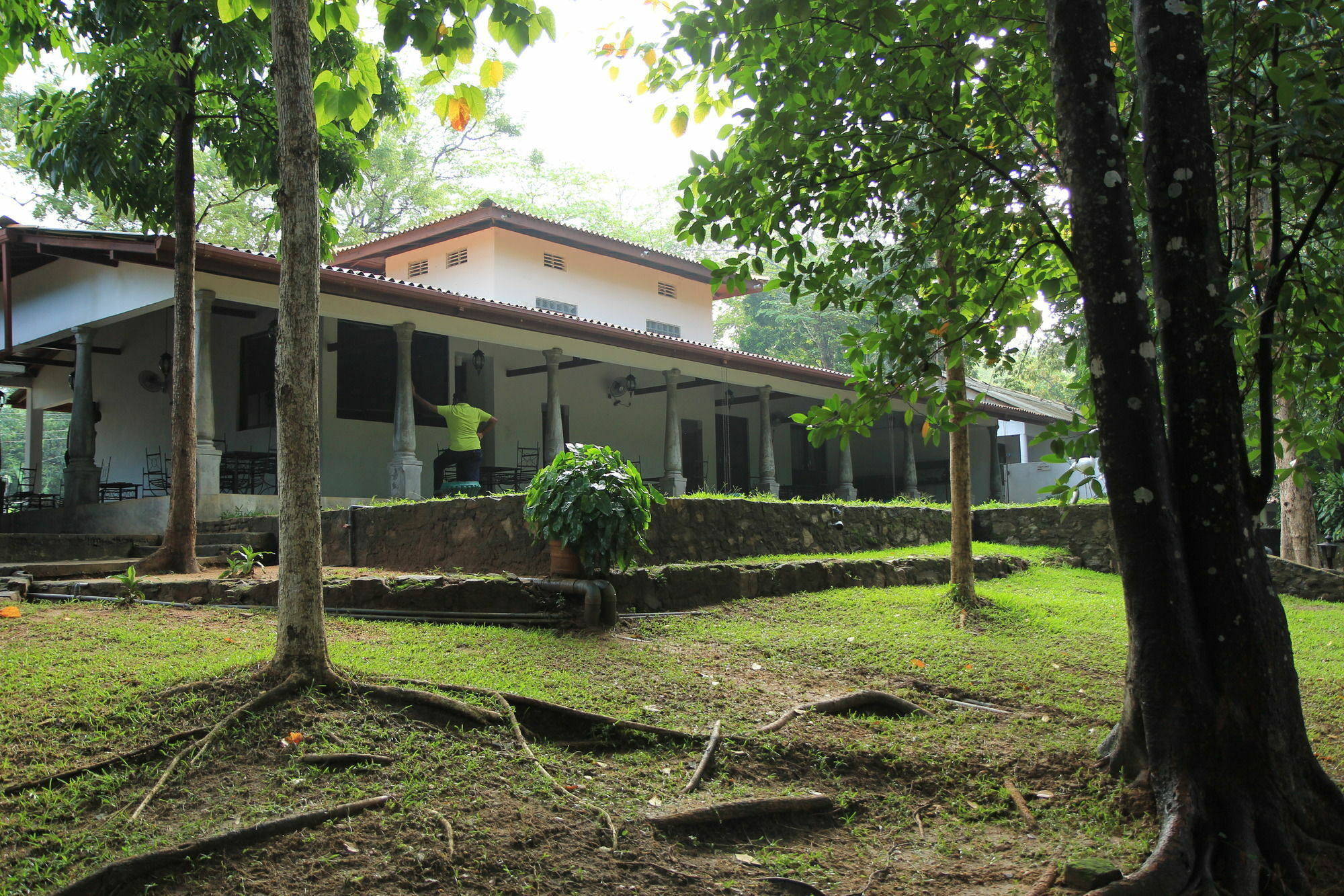 Dambulu Oya Family Park Hotell Dambulla Eksteriør bilde