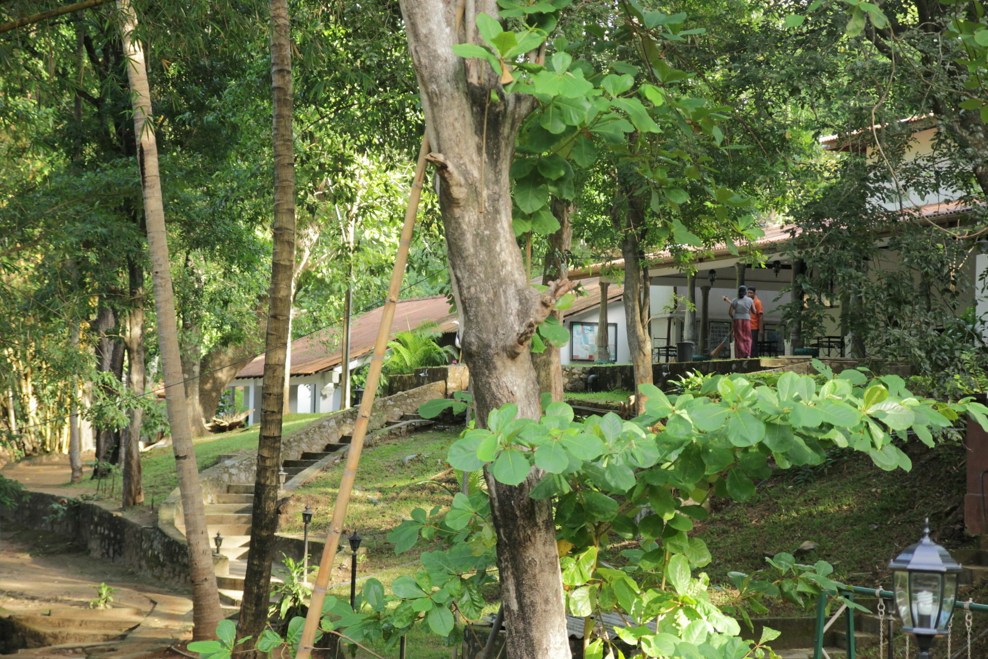 Dambulu Oya Family Park Hotell Dambulla Eksteriør bilde