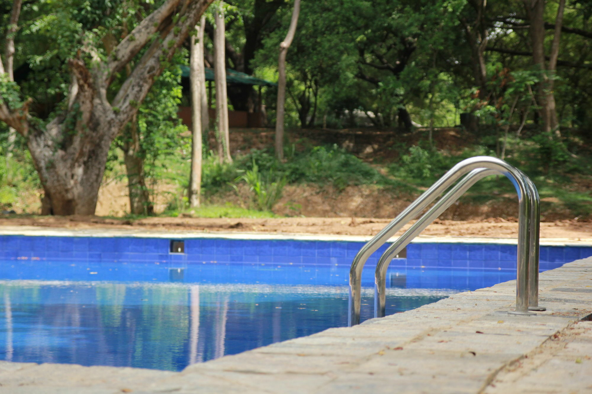 Dambulu Oya Family Park Hotell Dambulla Eksteriør bilde