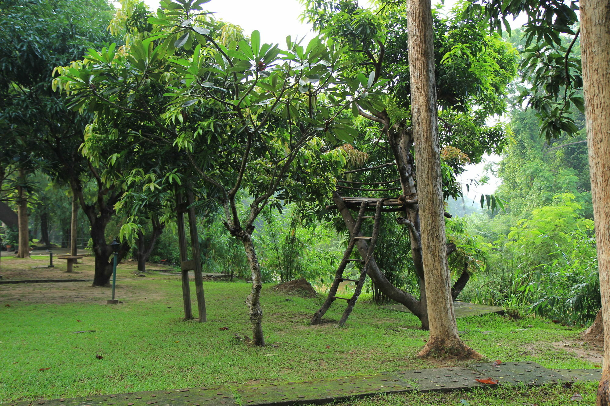 Dambulu Oya Family Park Hotell Dambulla Eksteriør bilde